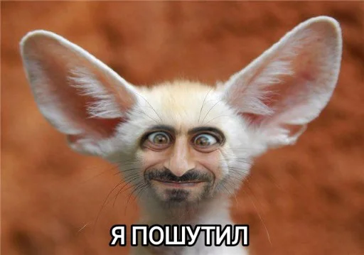 Эмодзи Funny animals - Loinyre