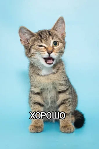 Эмодзи Funny animals - Loinyre