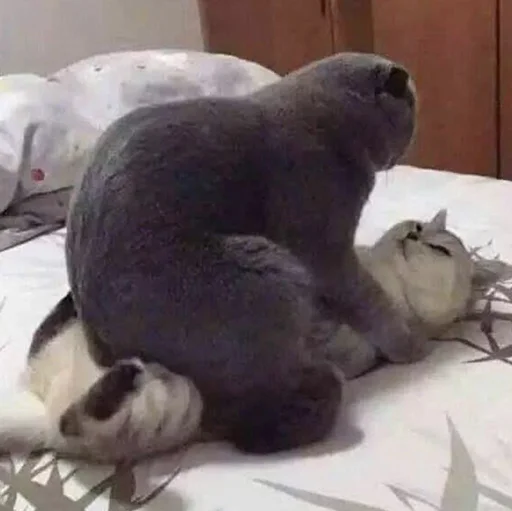 Эмодзи Funny Animals 3