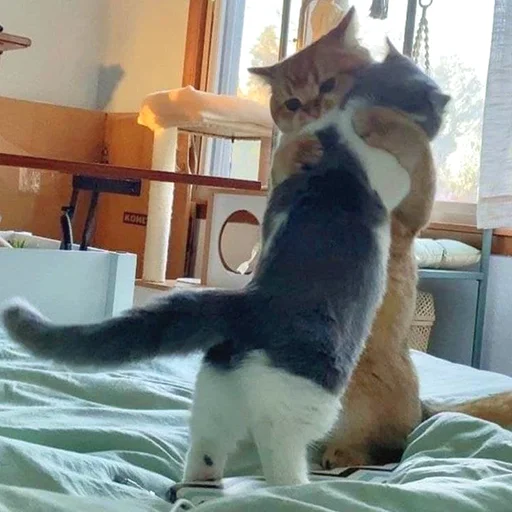 Эмодзи Funny Animals 3