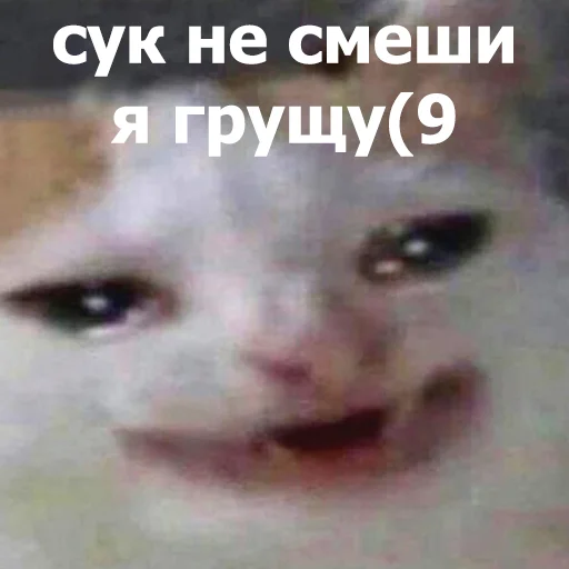 Эмодзи Funny Animals 4