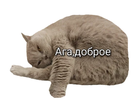 Эмодзи Лола