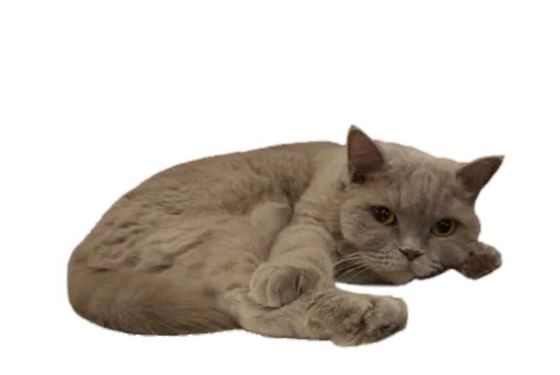 Эмодзи Лола