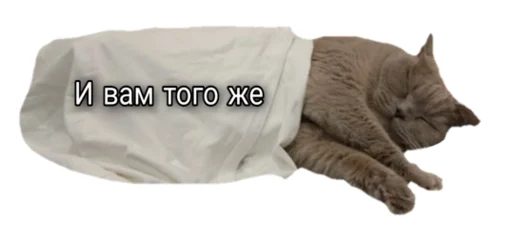 Эмодзи Лола