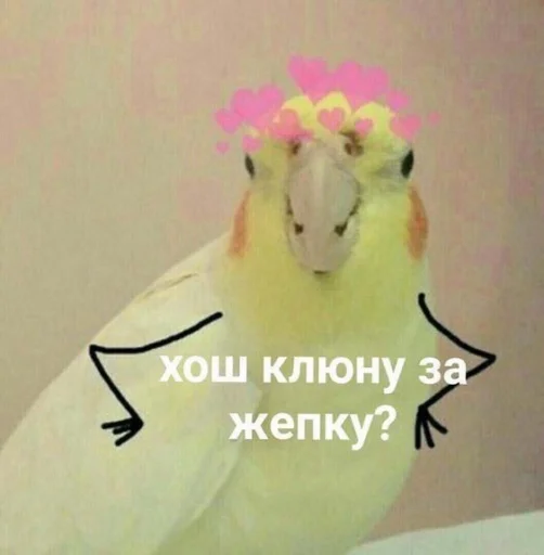 Эмодзи ProvinsiaAlkashki