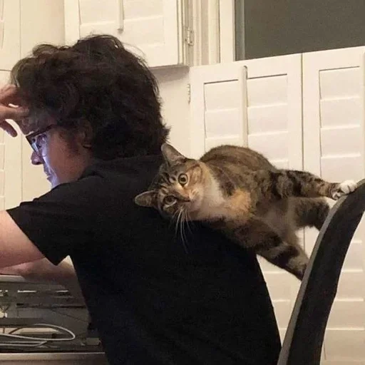 Эмодзи Стив Харрингтон