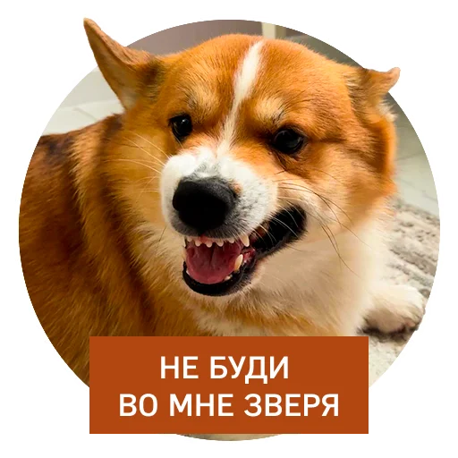 Эмодзи Lucky FSK