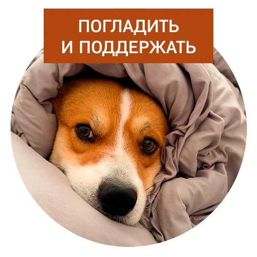 Эмодзи Lucky FSK