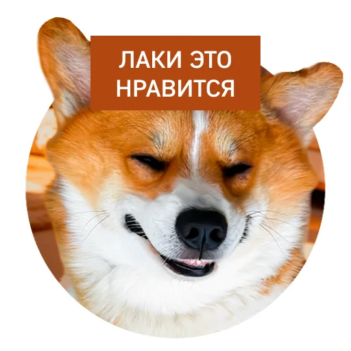 Эмодзи Lucky FSK