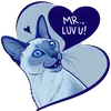 Эмодзи Luna the Oriental Cat