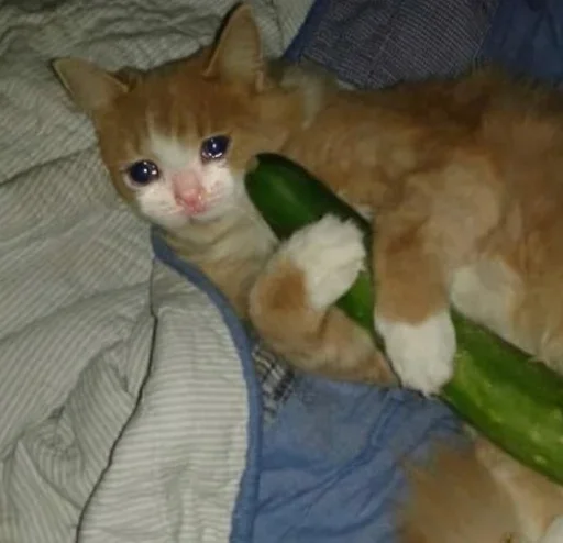 Эмодзи Michis cursed