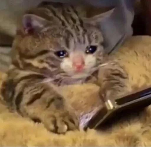 Эмодзи Michis cursed