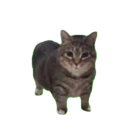 Эмодзи МИЛЫЕ МЕМЫ