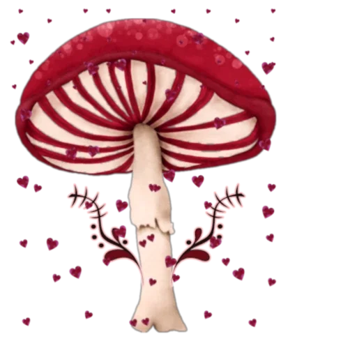 ❤️