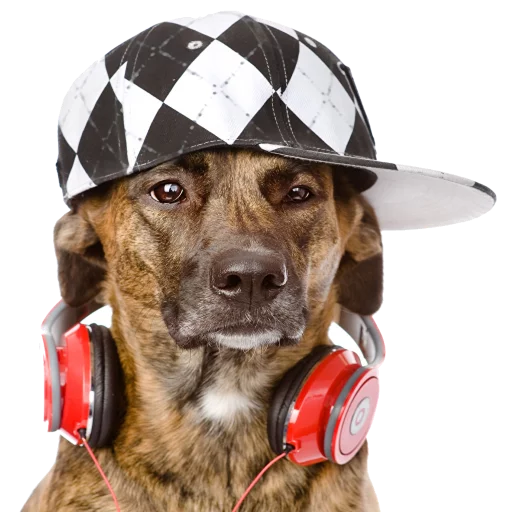 Эмодзи Music Animals