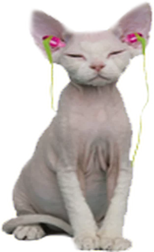 Эмодзи Music Animals