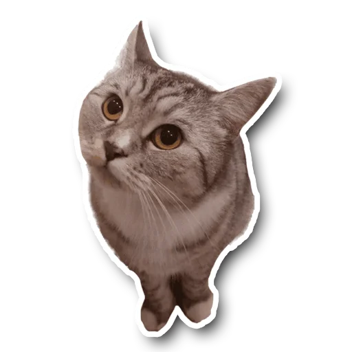 ?