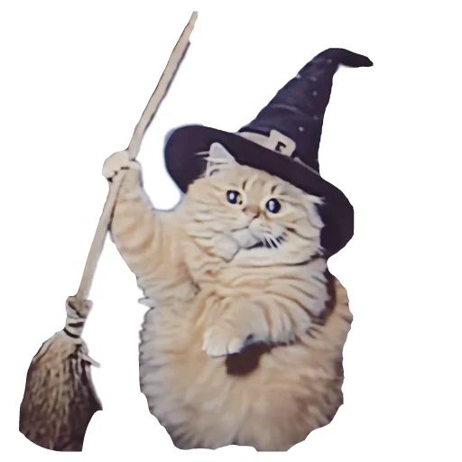 Эмодзи Magic Сat