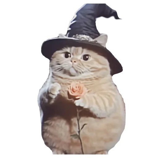 Эмодзи Magic Сat