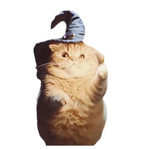 Эмодзи Magic Сat