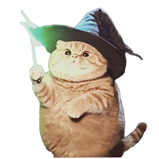 Эмодзи Magic Сat