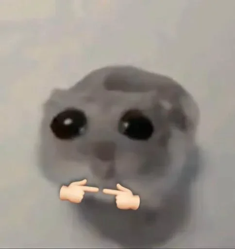 🐭