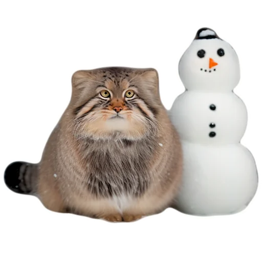 Эмодзи Winter Manul