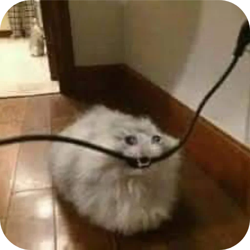 Эмодзи Манулы