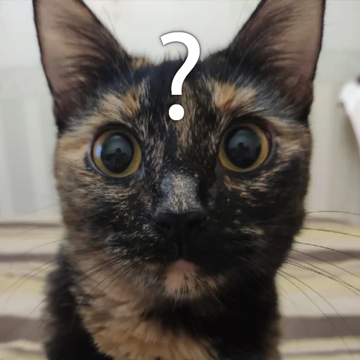 Эмодзи Кошки