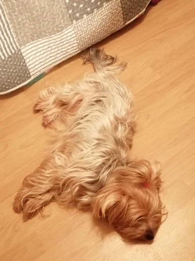😪
