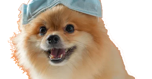 Эмодзи CoVID-19Mask