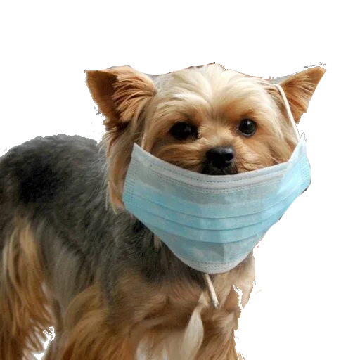 Эмодзи CoVID-19Mask