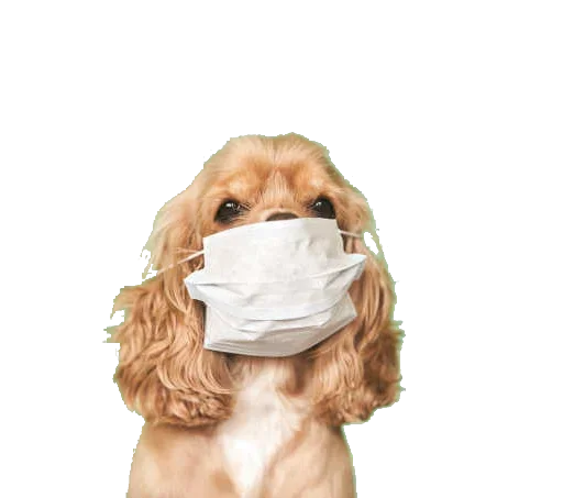 Эмодзи CoVID-19Mask