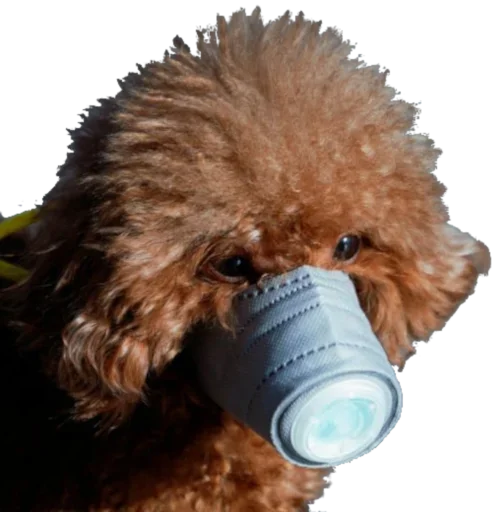 Эмодзи CoVID-19Mask