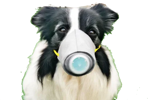 Эмодзи CoVID-19Mask