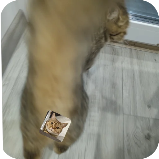 Эмодзи Котики