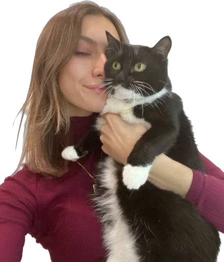 Эмодзи Cats