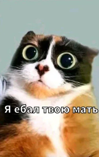 Эмодзи Майонез