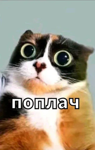 Эмодзи Майонез