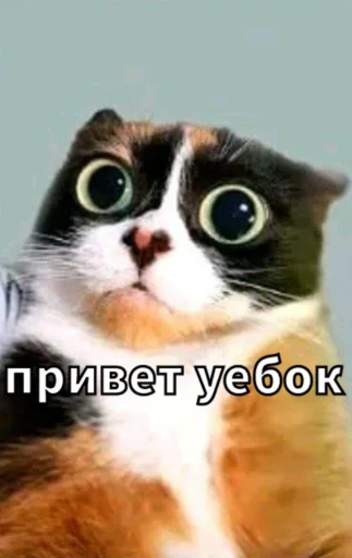 Эмодзи Майонез