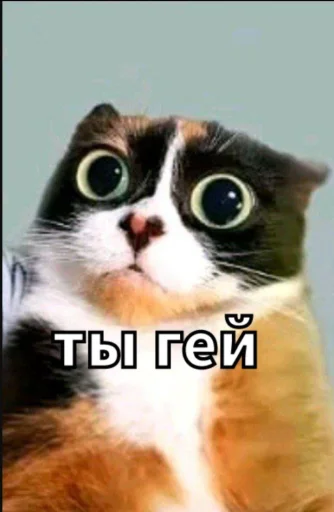 Эмодзи Майонез