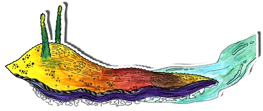 Эмодзи Слизняг