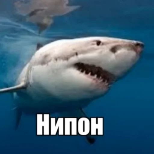 Эмодзи Пон