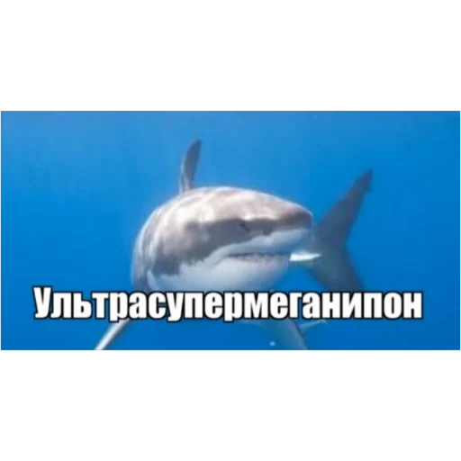 Эмодзи Пон