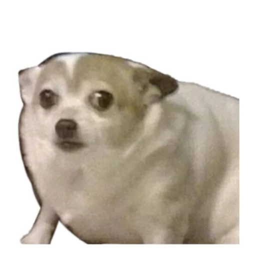 Эмодзи Мемы