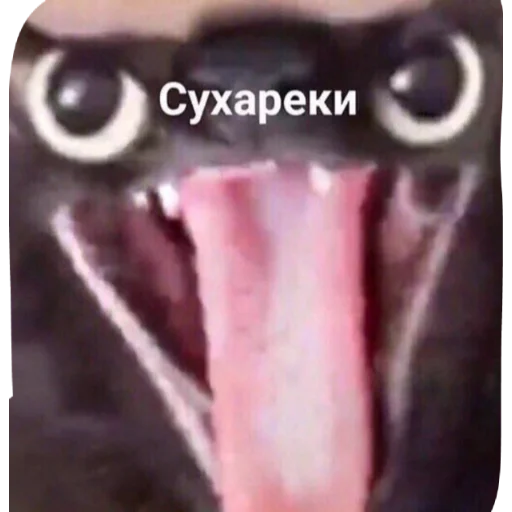 Эмодзи Мемы
