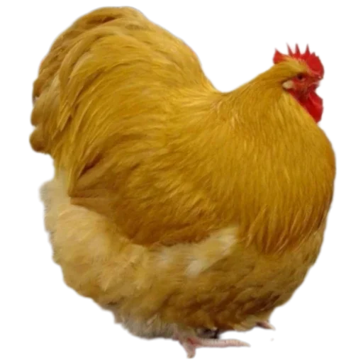 Эмодзи Мемасики