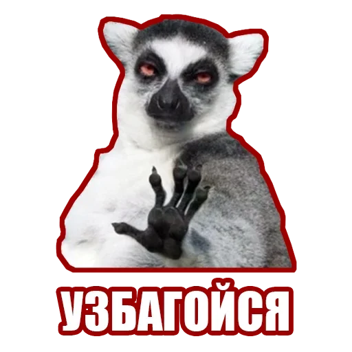 Эмодзи Рандомные мемы и пупы
