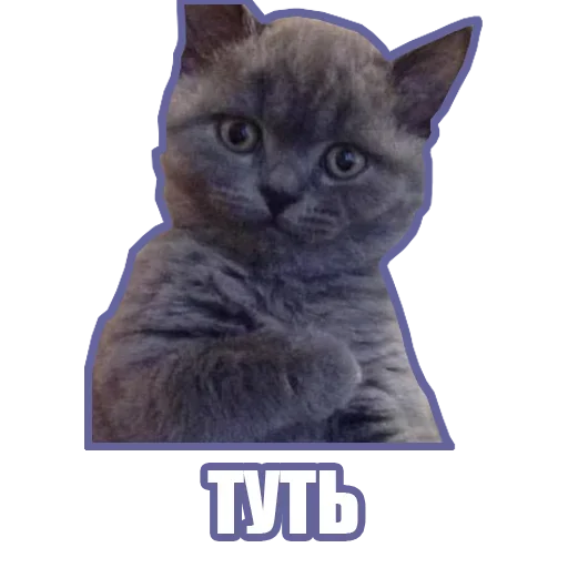 Эмодзи Рандомные мемы и пупы