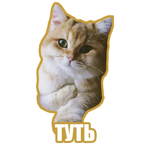Эмодзи Рандомные мемы и пупы